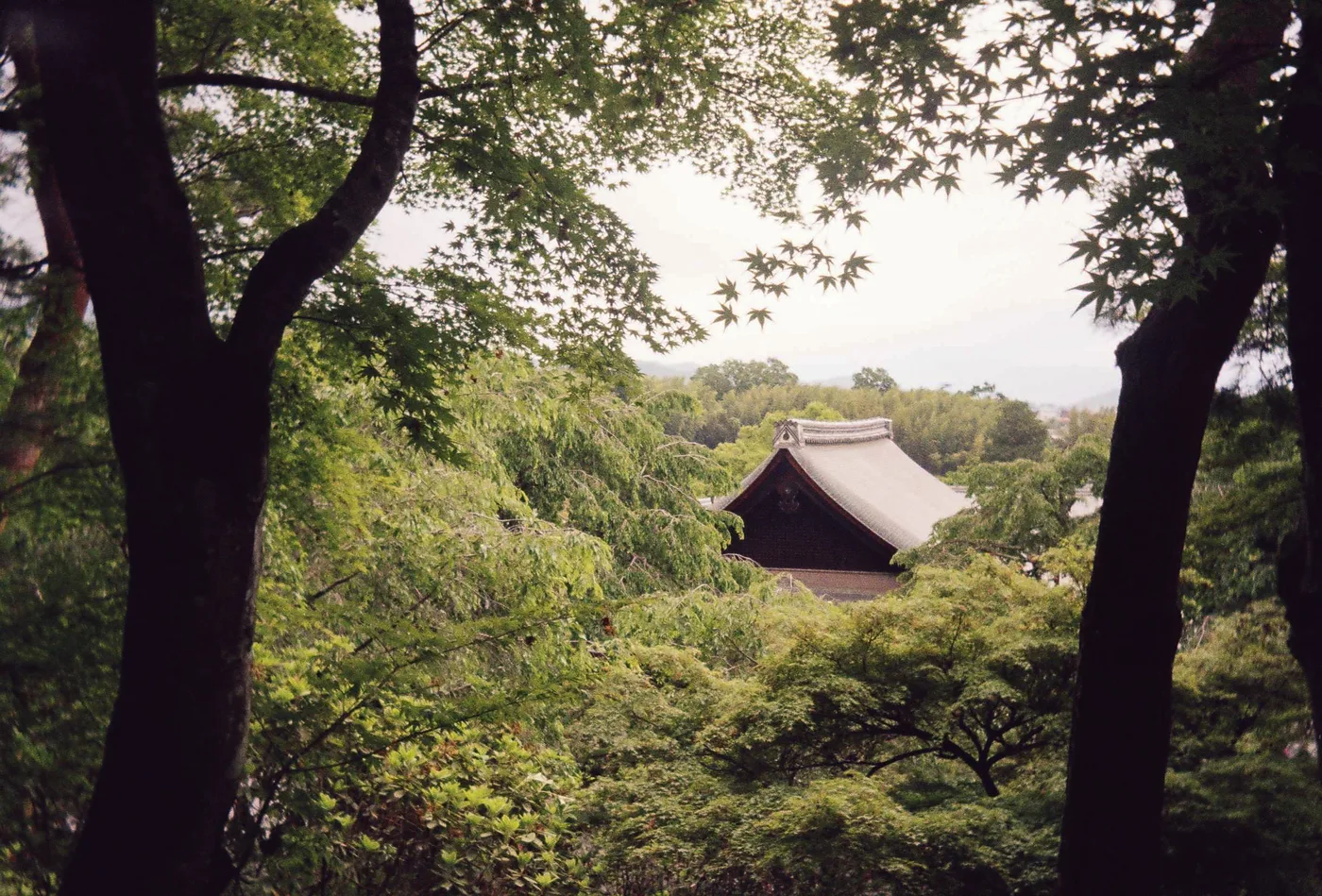Japan on Film 2025 — photo 12